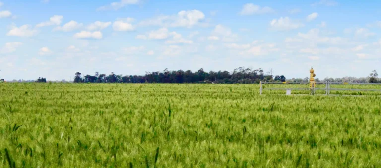 commitments-hero-banner-1140x504px